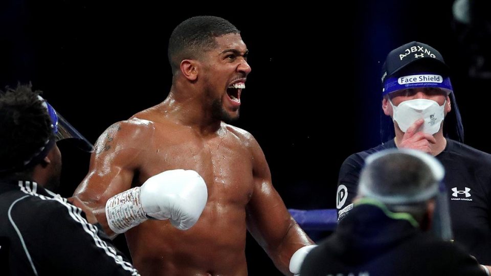 Joshua, Pulev’i yenerek ağır sıklet unvanlarını korudu