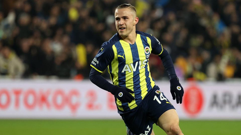 Pelkas, Hull City yolunda